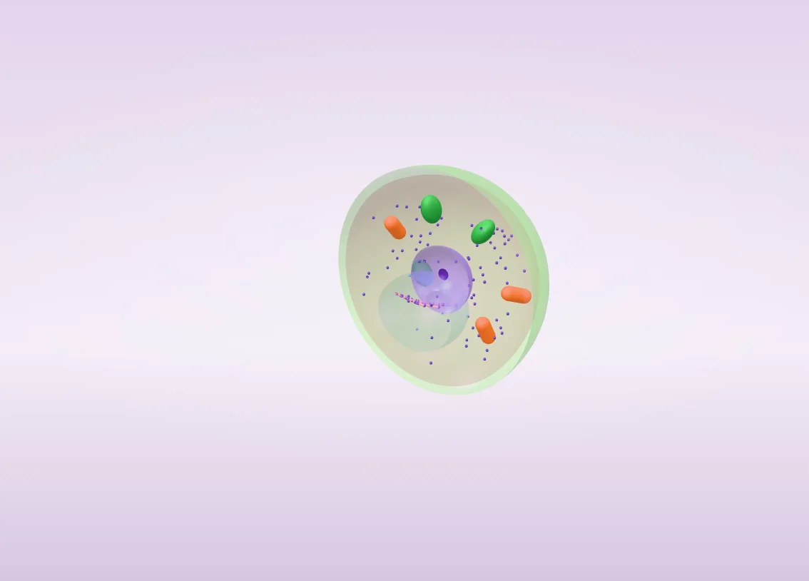 Living cell as a 3D model you can pull apart